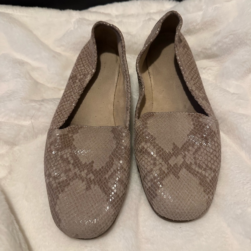 Aerosoles flats
